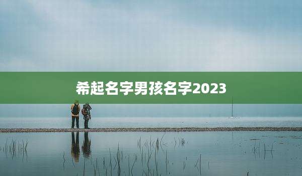 希起名字男孩名字2023