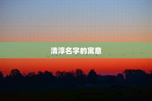清淳名字的寓意