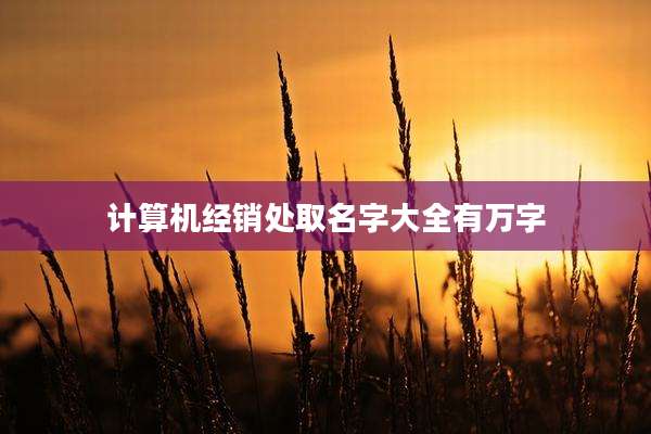 计算机经销处取名字大全有万字