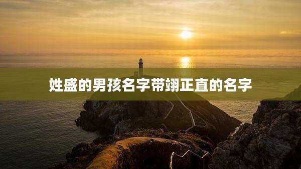 姓盛的男孩名字带翊正直的名字