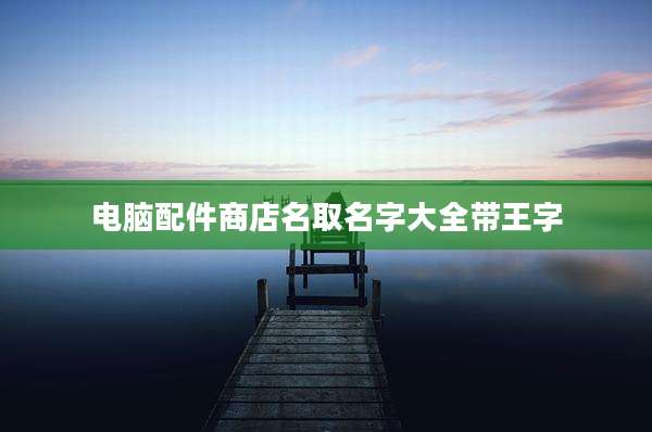 电脑配件商店名取名字大全带王字