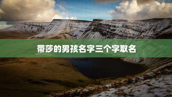 带莎的男孩名字三个字取名
