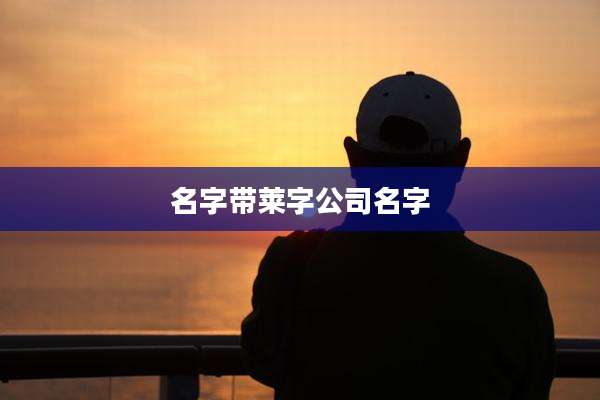 名字带莱字公司名字