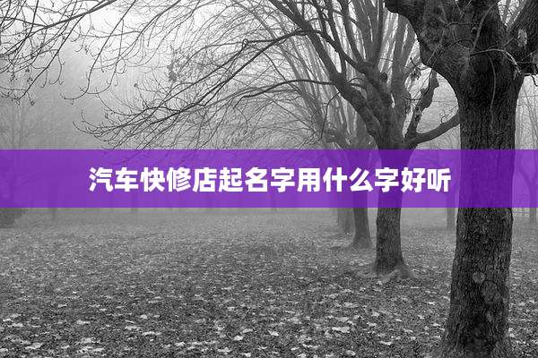 汽车快修店起名字用什么字好听
