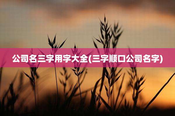 公司名三字用字大全(三字顺口公司名字)