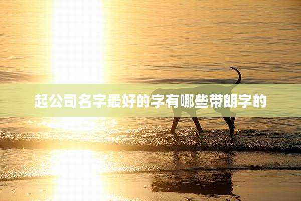 起公司名字最好的字有哪些带朗字的