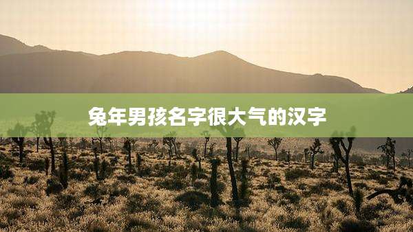 兔年男孩名字很大气的汉字