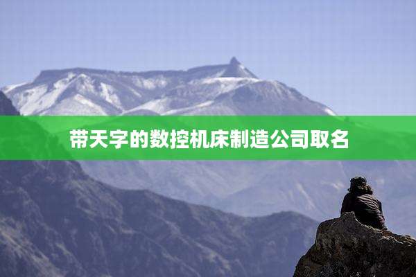 带天字的数控机床制造公司取名