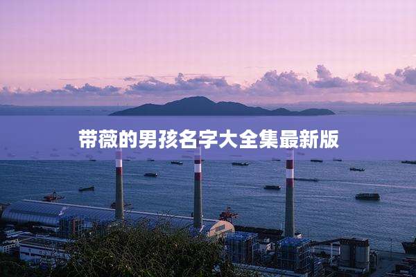 带薇的男孩名字大全集最新版