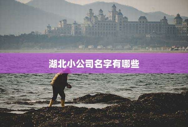 湖北小公司名字有哪些