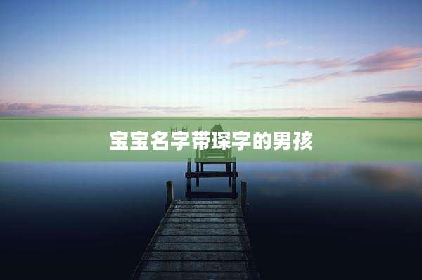 宝宝名字带琛字的男孩