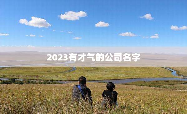 2023有才气的公司名字