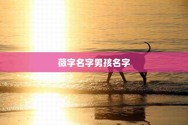 薇字名字男孩名字