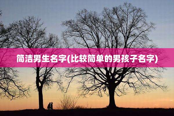 简洁男生名字(比较简单的男孩子名字)