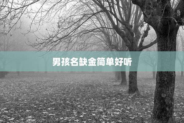 男孩名缺金简单好听