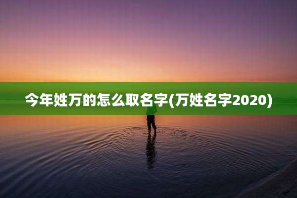 今年姓万的怎么取名字(万姓名字2020)