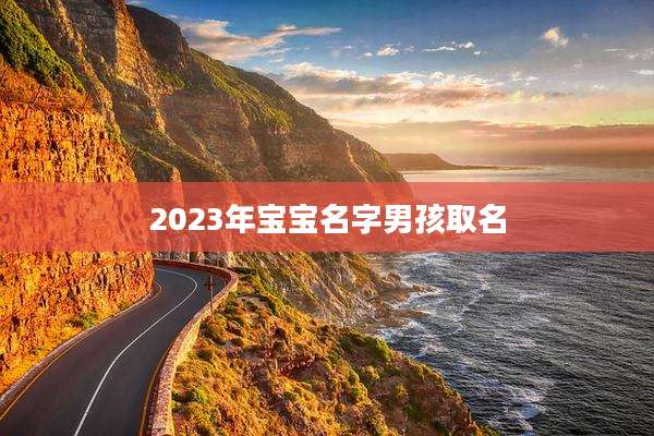 2023年宝宝名字男孩取名