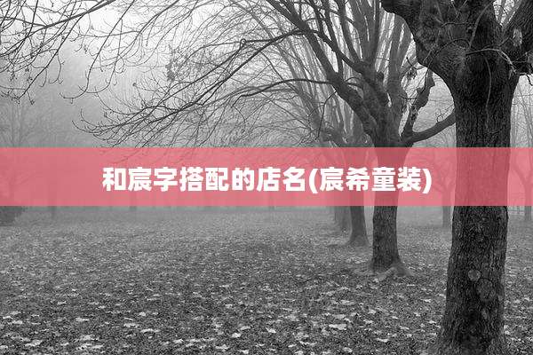 和宸字搭配的店名(宸希童装)