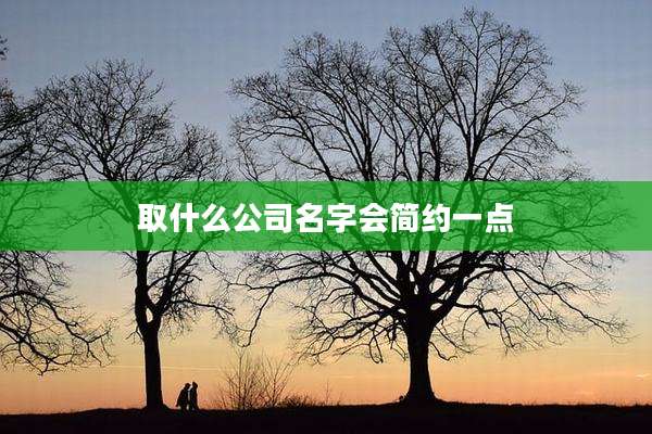 取什么公司名字会简约一点