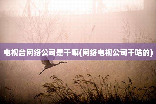 电视台网络公司是干嘛(网络电视公司干啥的)