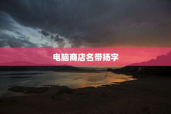 电脑商店名带扬字