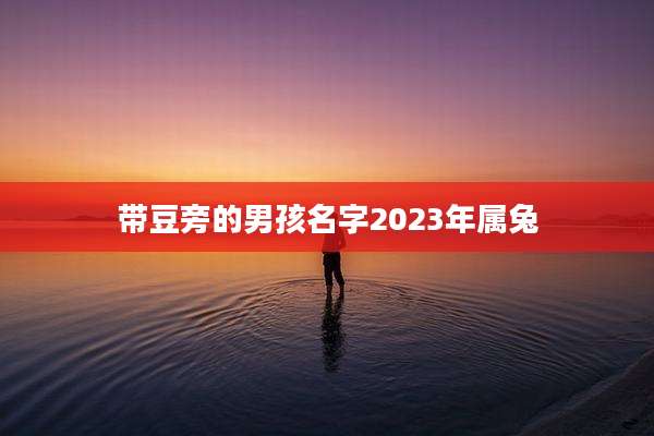 带豆旁的男孩名字2023年属兔