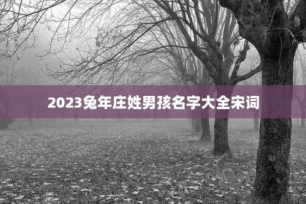 2023兔年庄姓男孩名字大全宋词