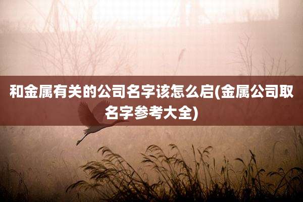 和金属有关的公司名字该怎么启(金属公司取名字参考大全)