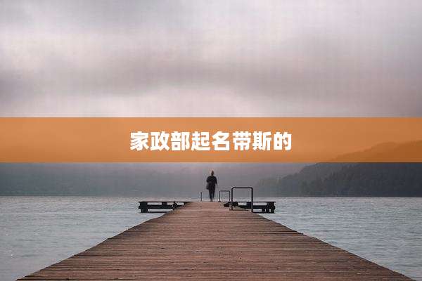 家政部起名带斯的