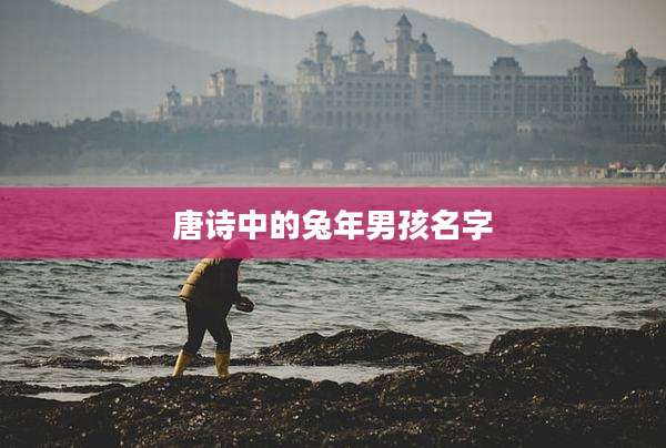 唐诗中的兔年男孩名字