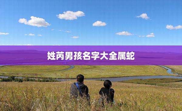 姓芮男孩名字大全属蛇
