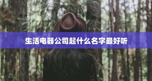 生活电器公司起什么名字最好听