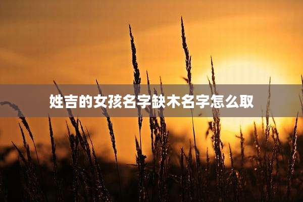 姓吉的女孩名字缺木名字怎么取