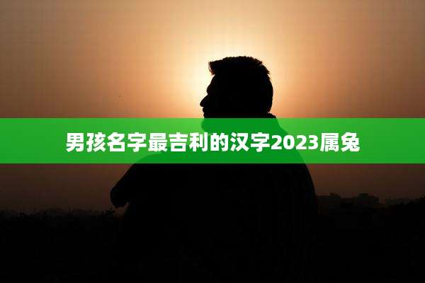 男孩名字最吉利的汉字2023属兔