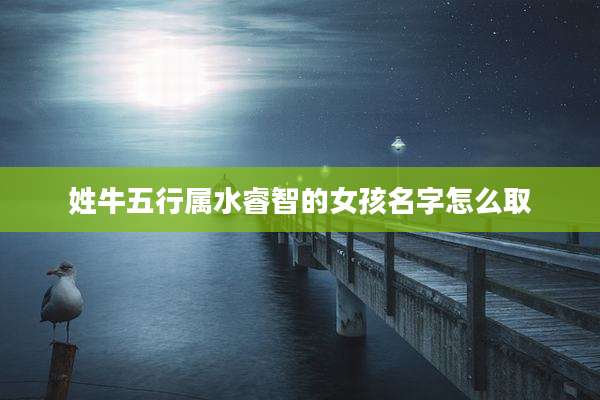 姓牛五行属水睿智的女孩名字怎么取