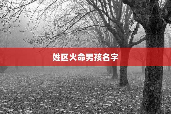姓区火命男孩名字