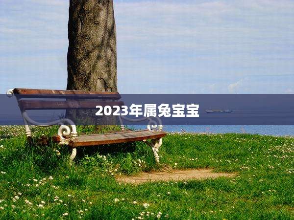 2023年属兔宝宝