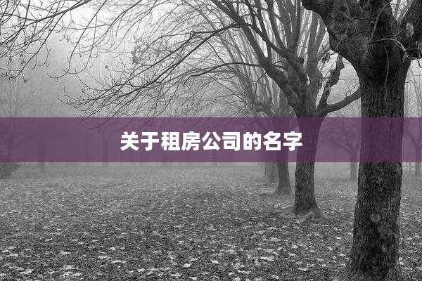 关于租房公司的名字