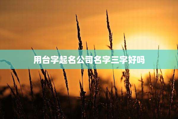 用台字起名公司名字三字好吗