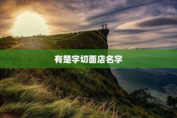 有楚字切面店名字