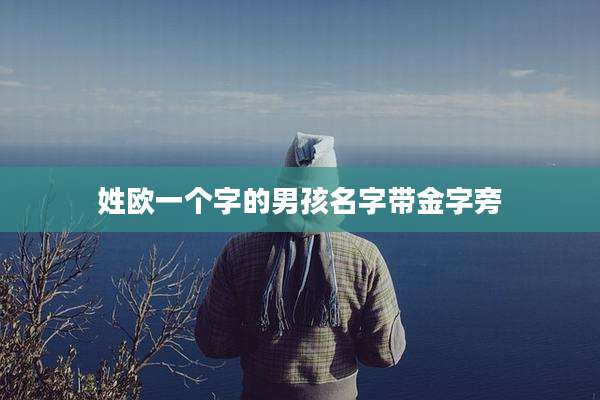 姓欧一个字的男孩名字带金字旁