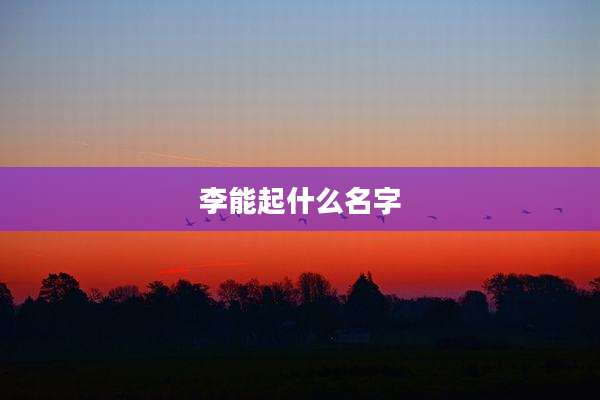 李能起什么名字