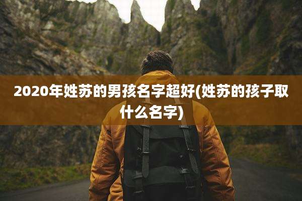 2020年姓苏的男孩名字超好(姓苏的孩子取什么名字)