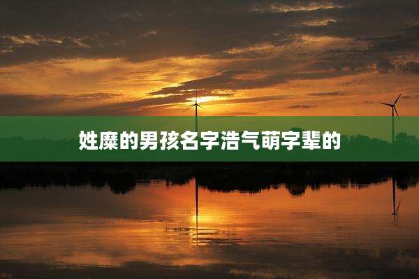 姓糜的男孩名字浩气萌字辈的