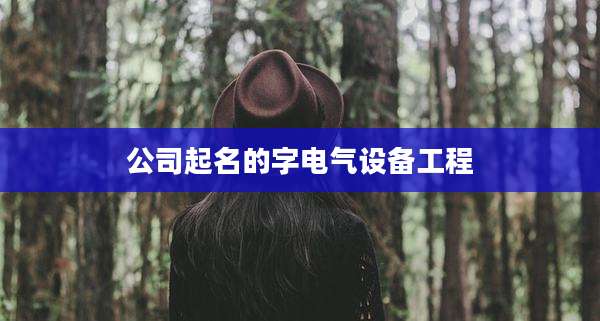 公司起名的字电气设备工程