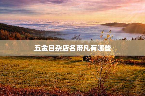 五金日杂店名带凡有哪些