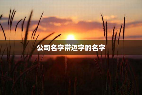 公司名字带迈字的名字