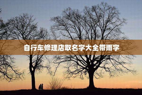 自行车修理店取名字大全带雨字