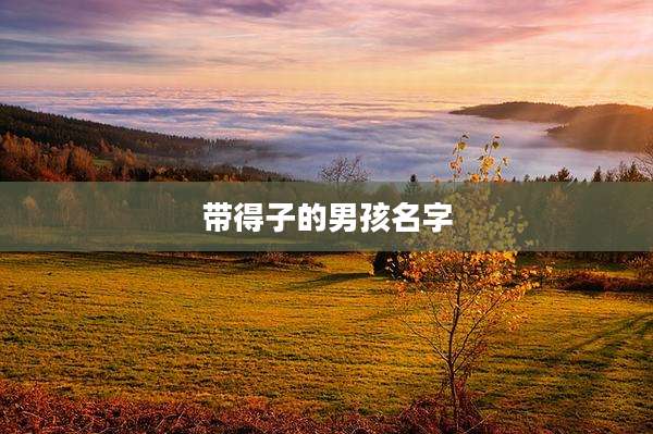带得子的男孩名字