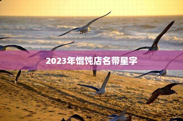 2023年馄饨店名带星字